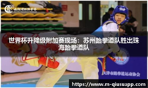 球速体育官网